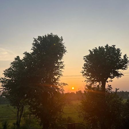 Bungalow Resort - Sigiriya Ngoại thất bức ảnh