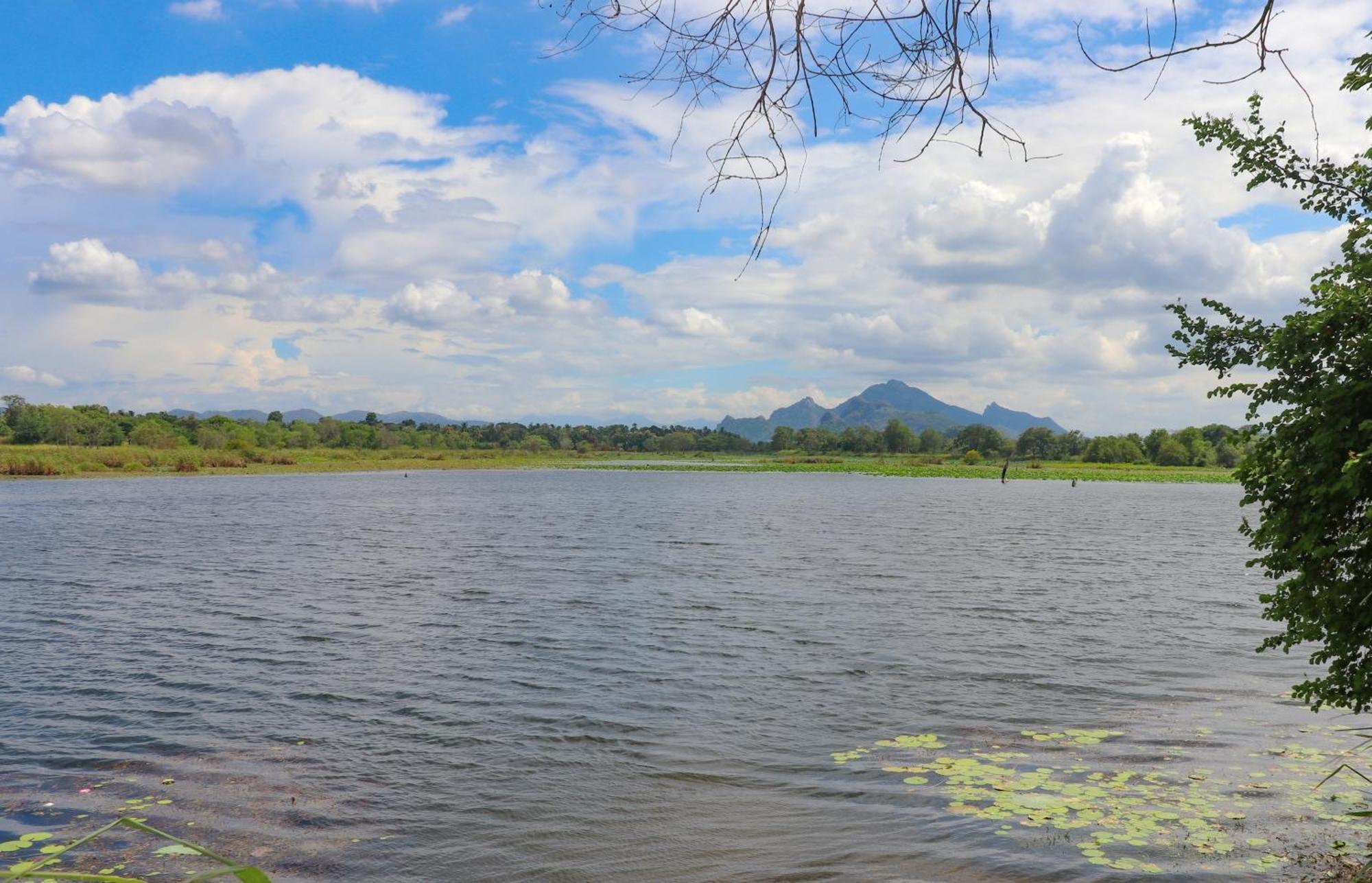 Bungalow Resort - Sigiriya Ngoại thất bức ảnh