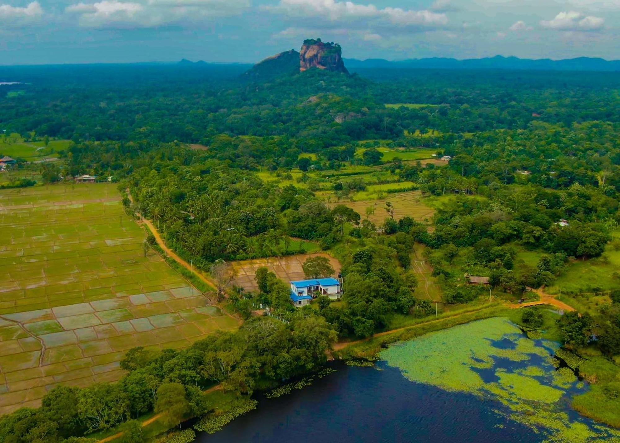 Bungalow Resort - Sigiriya Ngoại thất bức ảnh