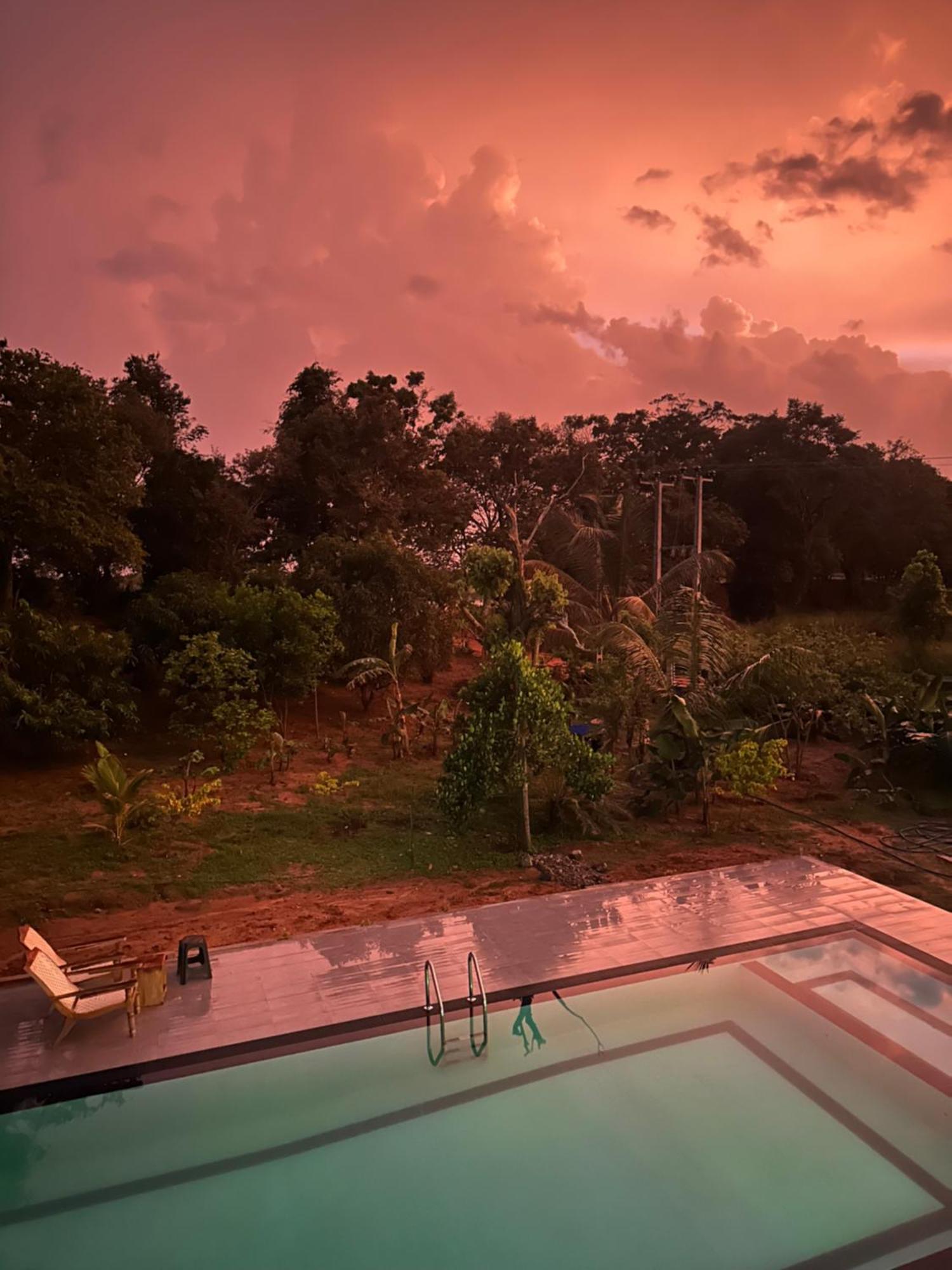 Bungalow Resort - Sigiriya Ngoại thất bức ảnh