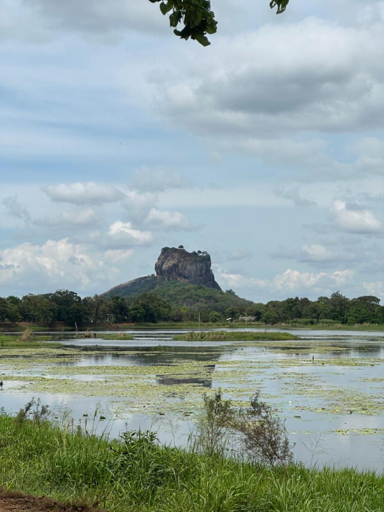 Bungalow Resort - Sigiriya Ngoại thất bức ảnh