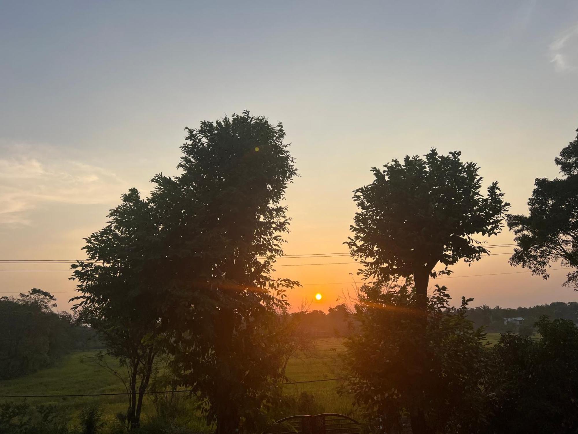 Bungalow Resort - Sigiriya Ngoại thất bức ảnh